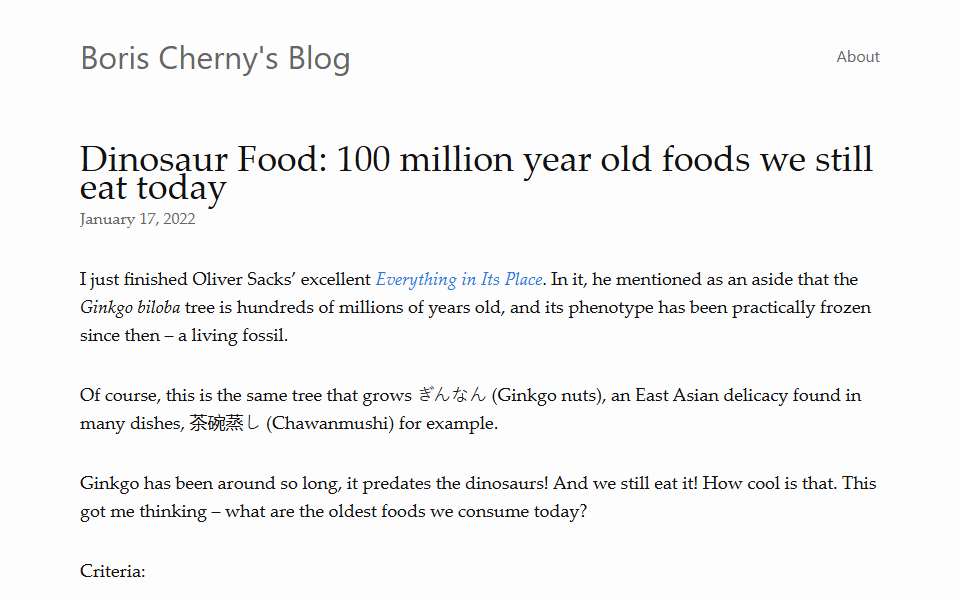 Screenshot of borischerny.com captured 2026-07-20